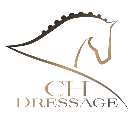 CH Dressage