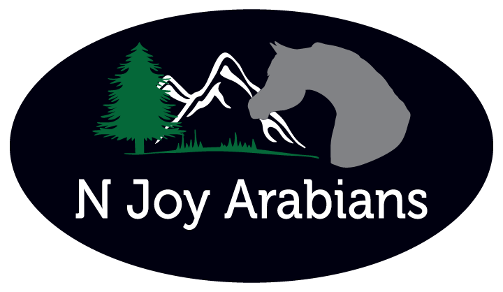 N Joy Arabians
