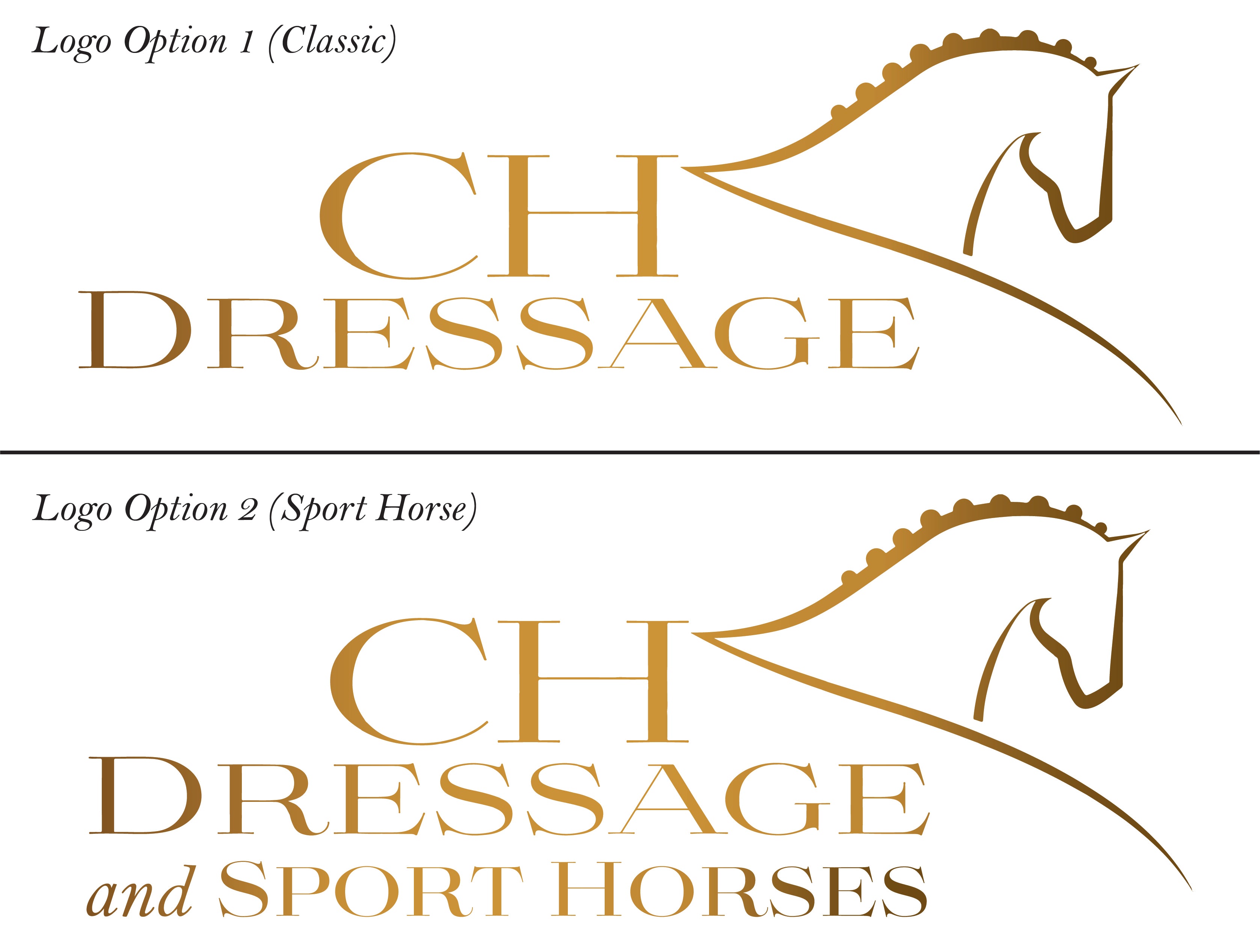 CH Dressage 1/4 Zip Sweatshirt